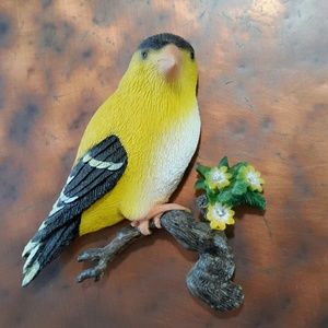 #55 Fridge Magnet Goldfinch Oriole Bird